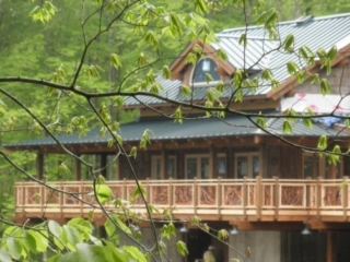 Branch Handrails