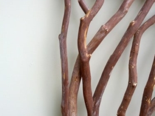 Log Handrail