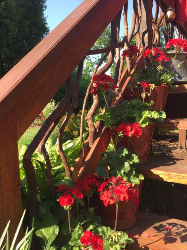 Mountain Laurel stair railing with flowers