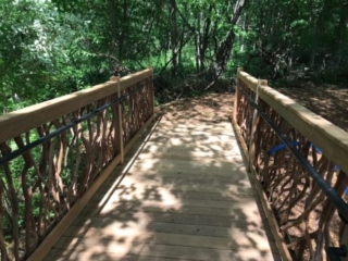 Dappled Sunlight Path