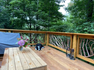 Dog Napping On New Deck