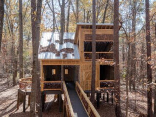 Chimney Park Treehouse in the Fall