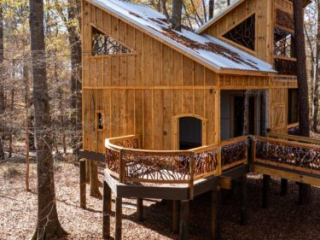 Curved Branch Railings on a Treehouse