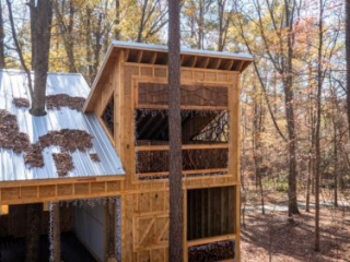 Custom Branch Railings and Infill for Treehouse