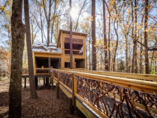 Mountain Laurel Handrails on Chimney Park Treehouse