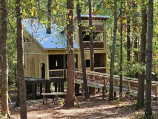 New Treehouse in Covington, Georgia