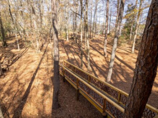 Rustic Railing Lined Walkway Through the Forest