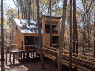 Rustic Treehouse with Easy Access Ramp