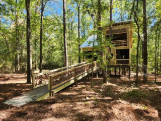 Walkway Up to Forest Treehouse