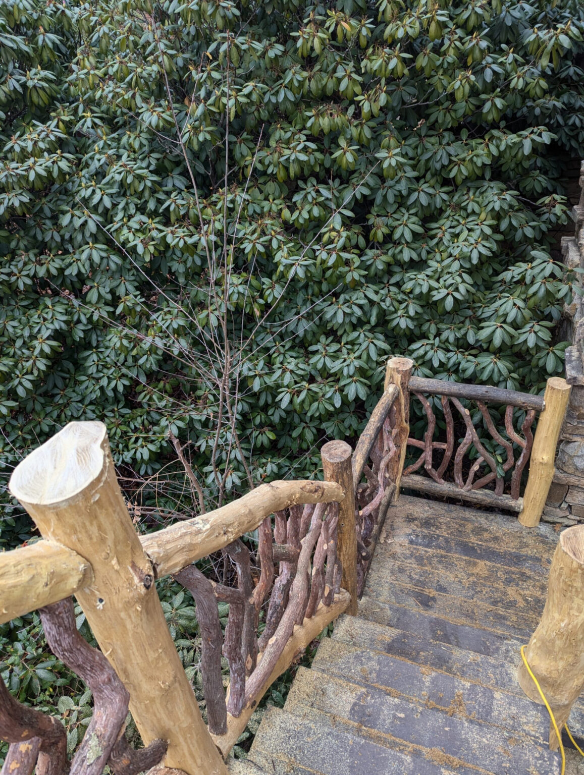 Rustic wooden staircase with woven branch railing surrounded by dense green bushes.