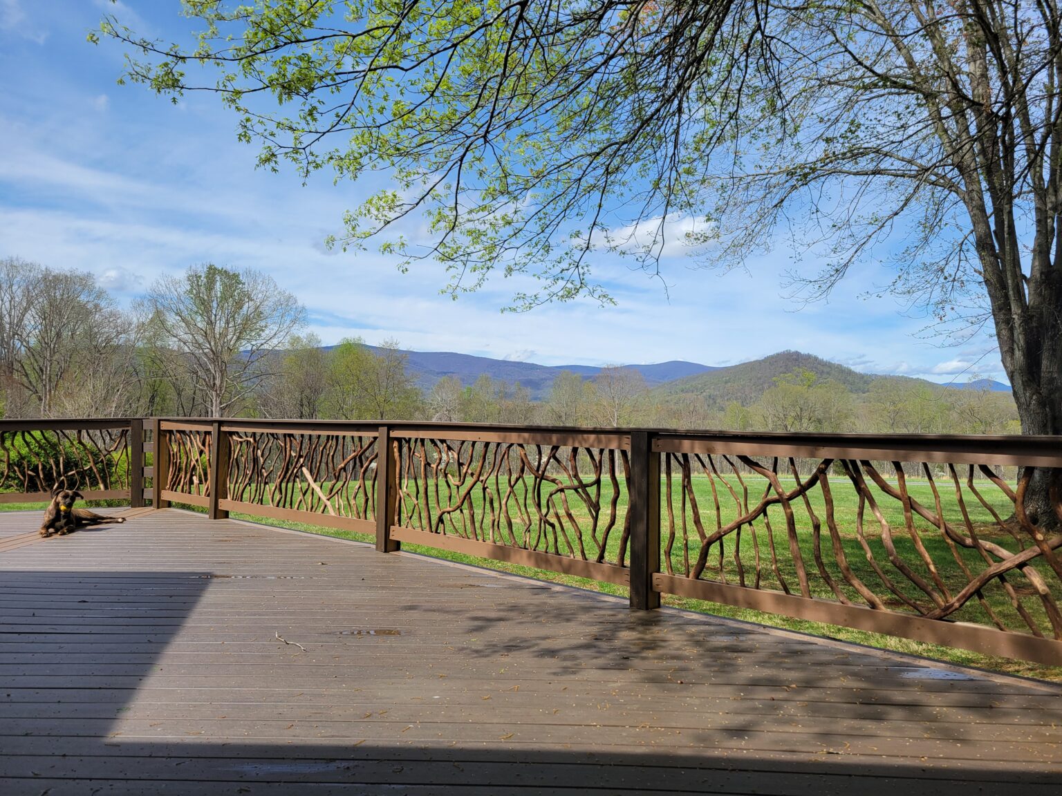 Standardsville VA Rhododendron Railing
