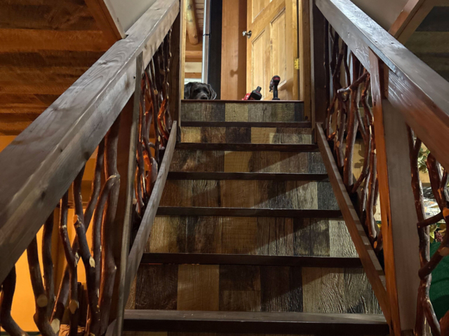 Wantagh NY Handrails