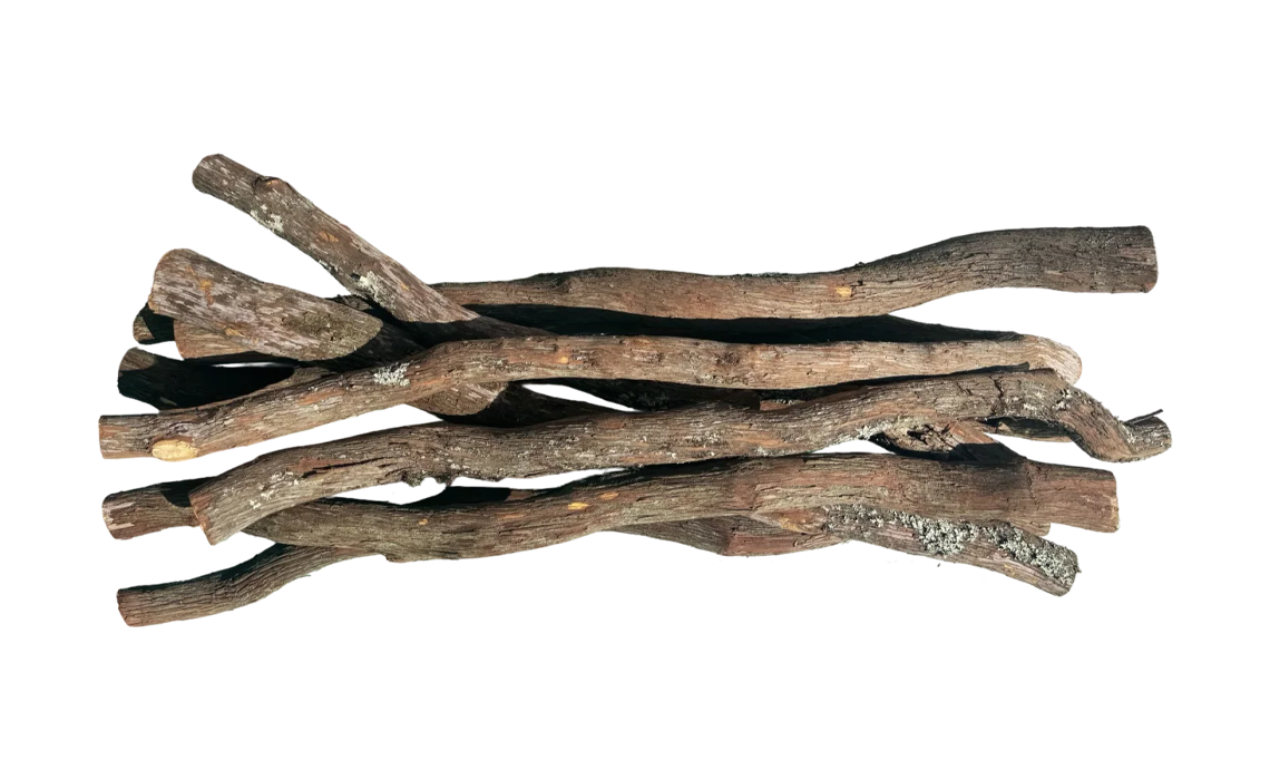 mountain_laurel_precut_large_natural_bundle_of_10_sticks
