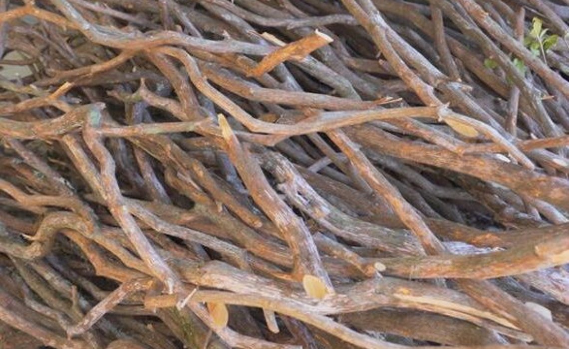A pile of mountain laurel branches ready to be crafted into railing parts, showcasing the natural beauty and quality of the wood.