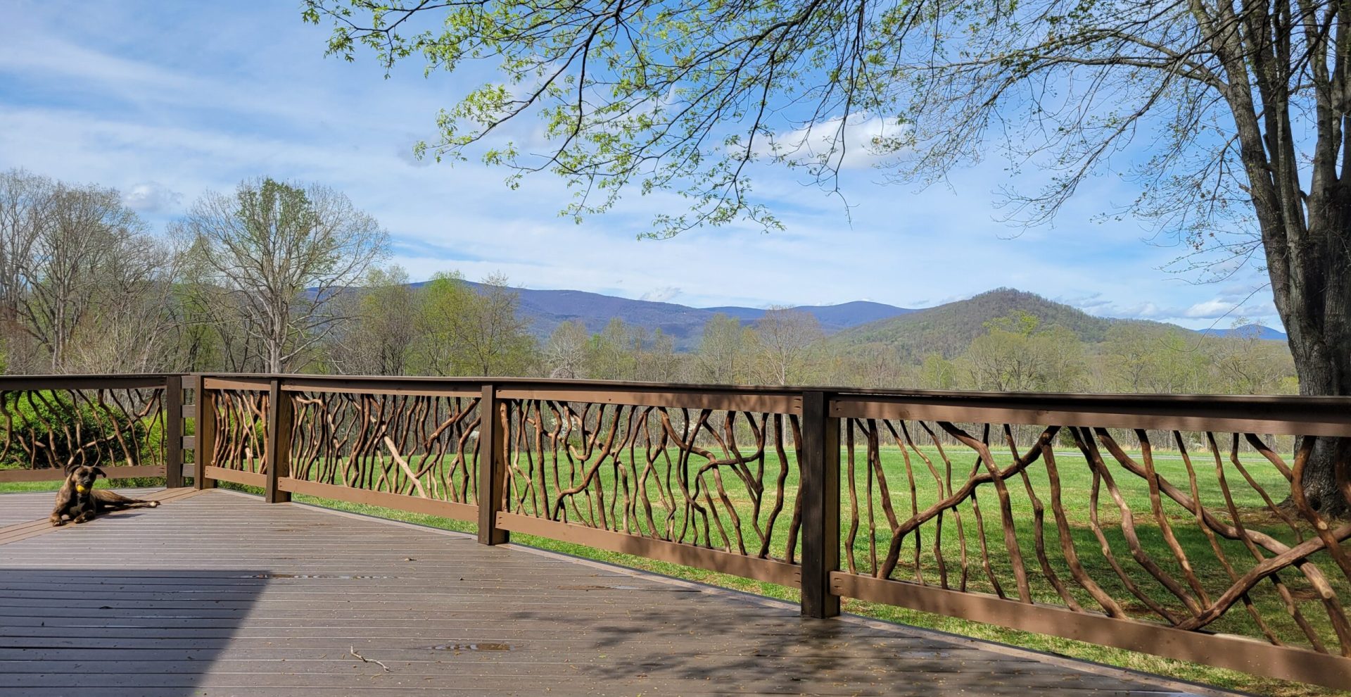 Standardsville VA Rhododendron Railing