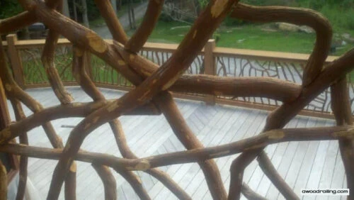 Nashville, TN Deck Railing Picture Through Branches