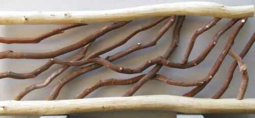Laurel And Locust Railing