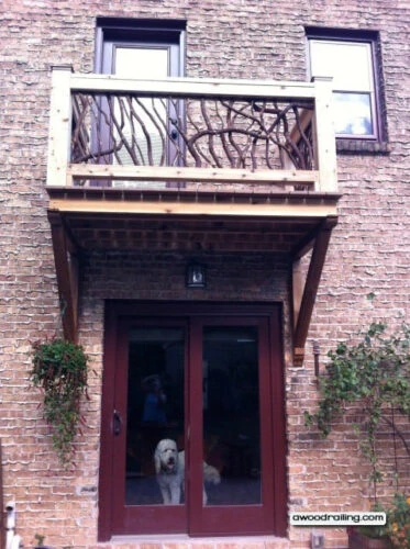 Front House Handrail