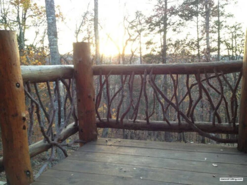 Log Newel Post And Branch Railing