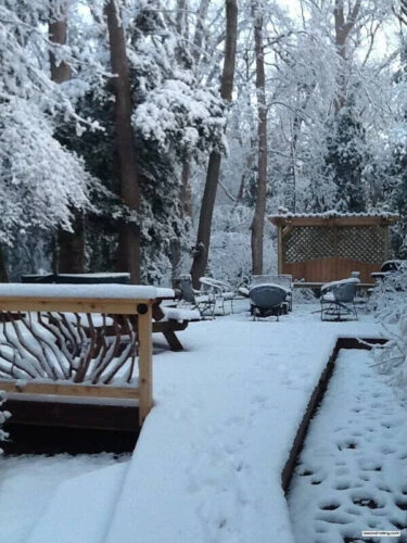Snowy Deck And Railing