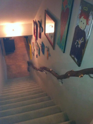 Rustic Branch Banister