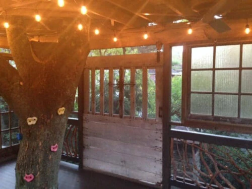 Branch Handrails For Treehouse