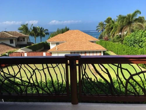 Branch Railing Hawaii