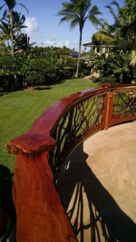 Hawaii Rails