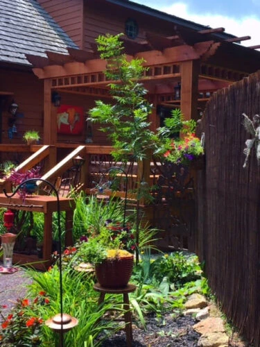 Tennessee Rustic Pergola