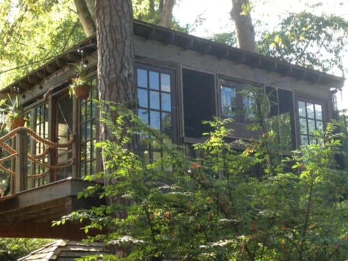 Treehouse In The Woods