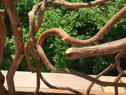 Intimate Branch Detail