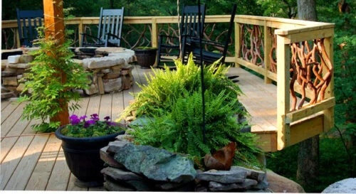 Ferns And Railing