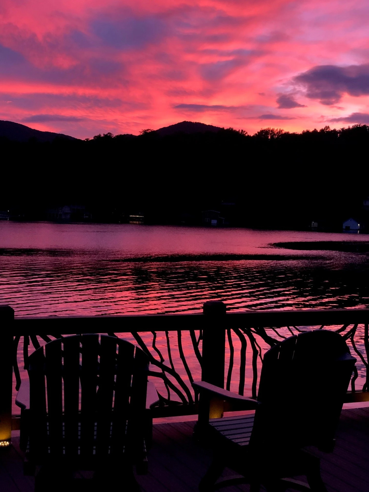 Mountain laurel handrails silhouetted against a vibrant pink sunset, creating a stunning visual contrast.