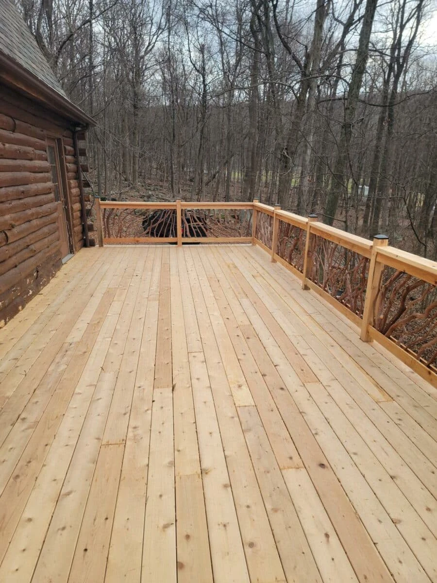 Back Deck View