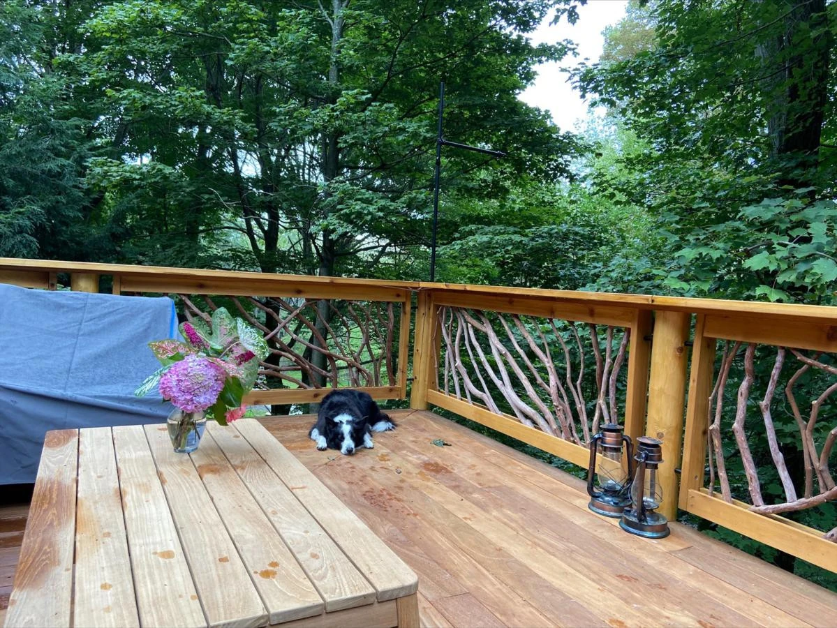 Dog Napping On New Deck
