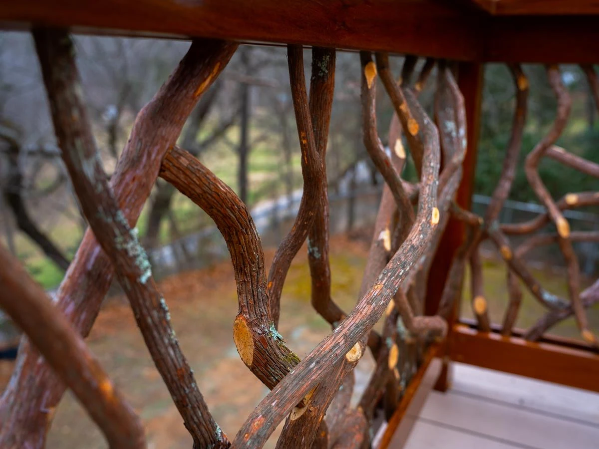 Franklin NC Close Up Mountain Laurel Handrail Branches