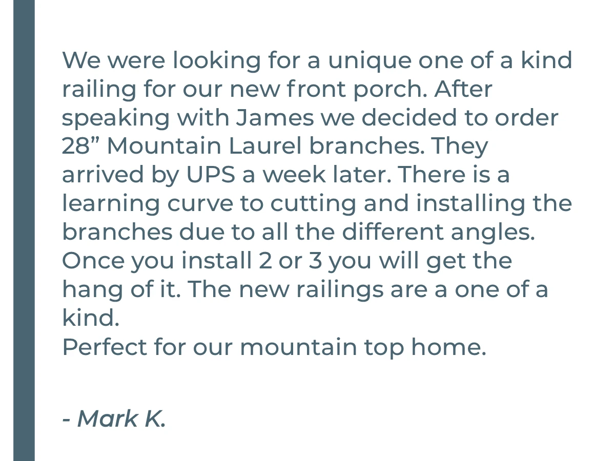 Review text praising custom branch railing for front porch