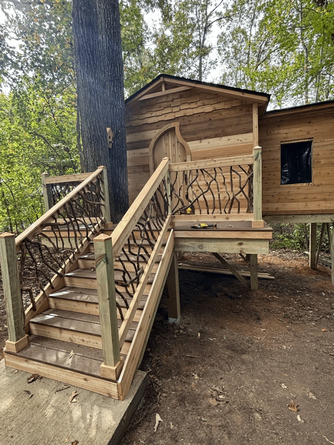 Cabin Entry with Split Staircase Design Wooden cabin with split staircase and woven branch railings built around a large tree.