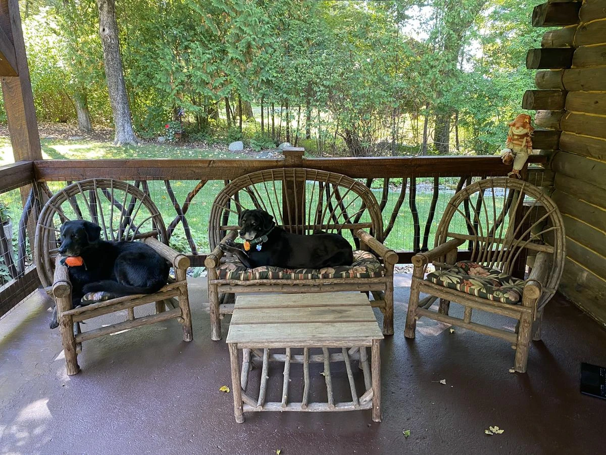 Dogs sitting on rustic porch chairs with mountain laurel handrails