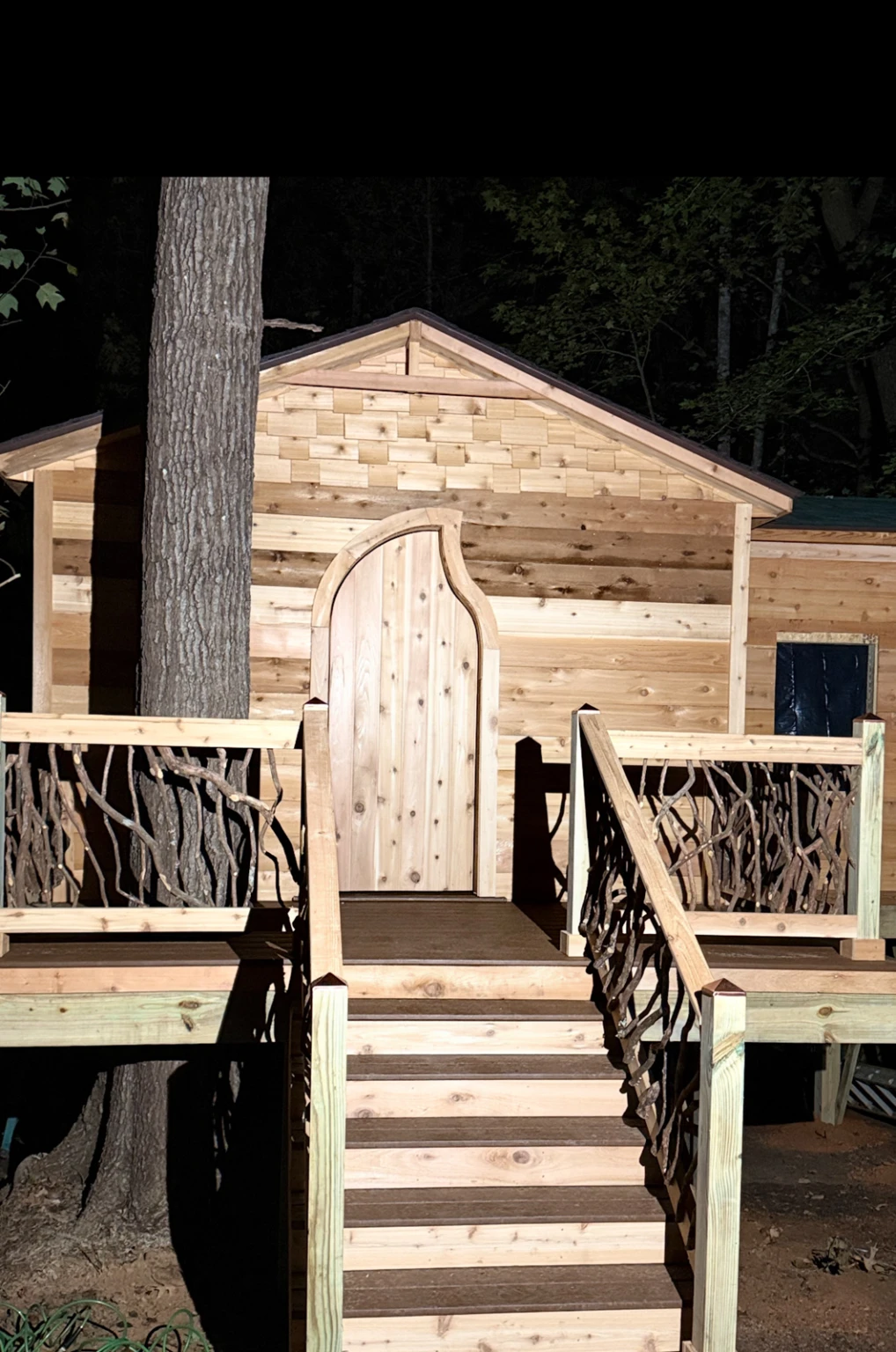 Woodland Cabin with Natural Railing Small wooden cabin with branch-style railing and steps in a wooded area at night.