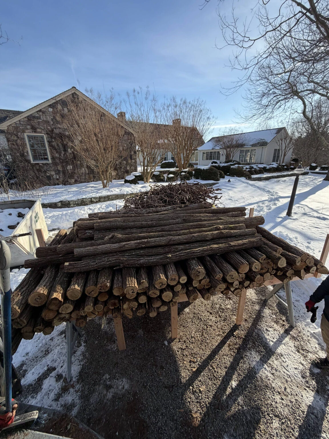 Large pile of cut logs and branches stacked on a sawhorse in a snowy backyard.