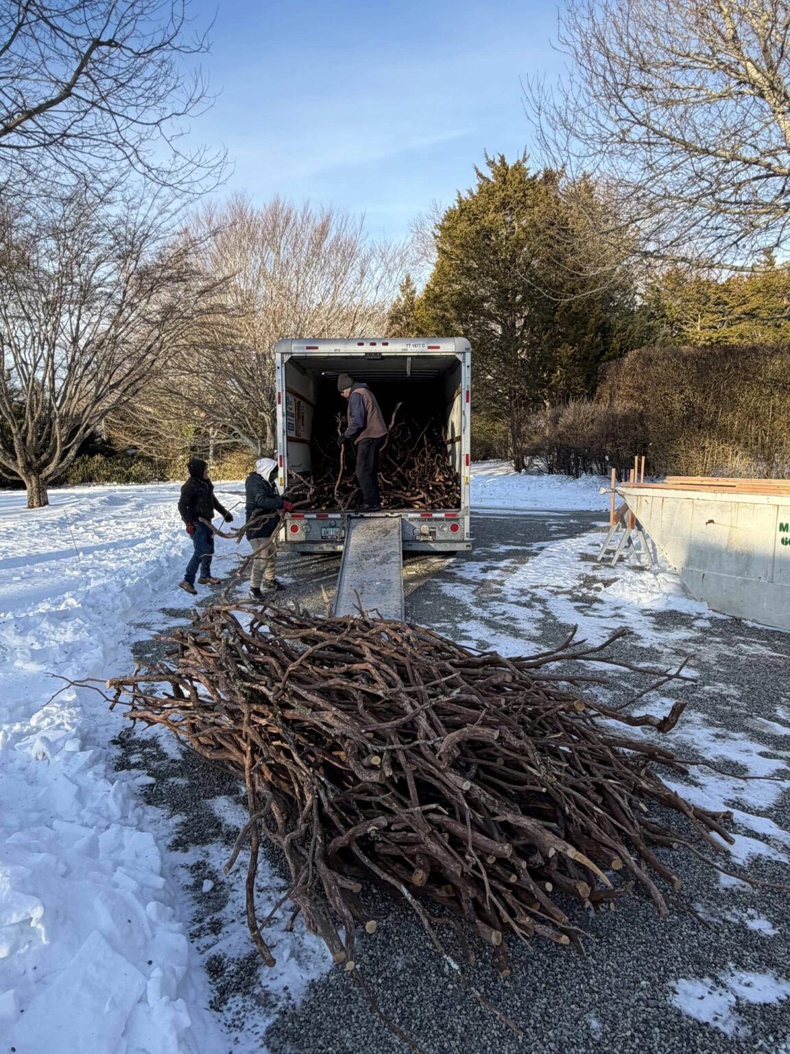 Men loading a large pile of branches into a truck in a snowy outdoor area.