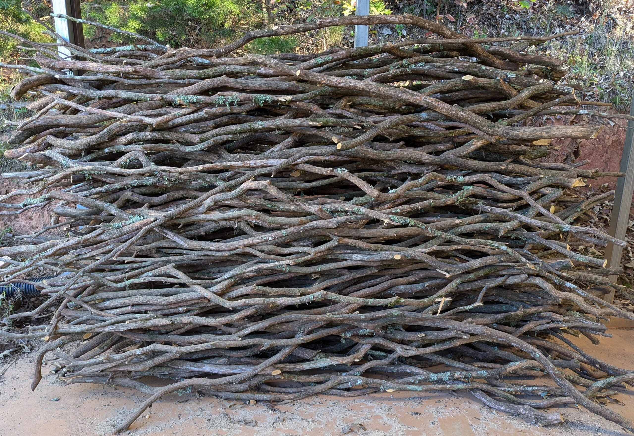 mountain-laurel-material-8ft